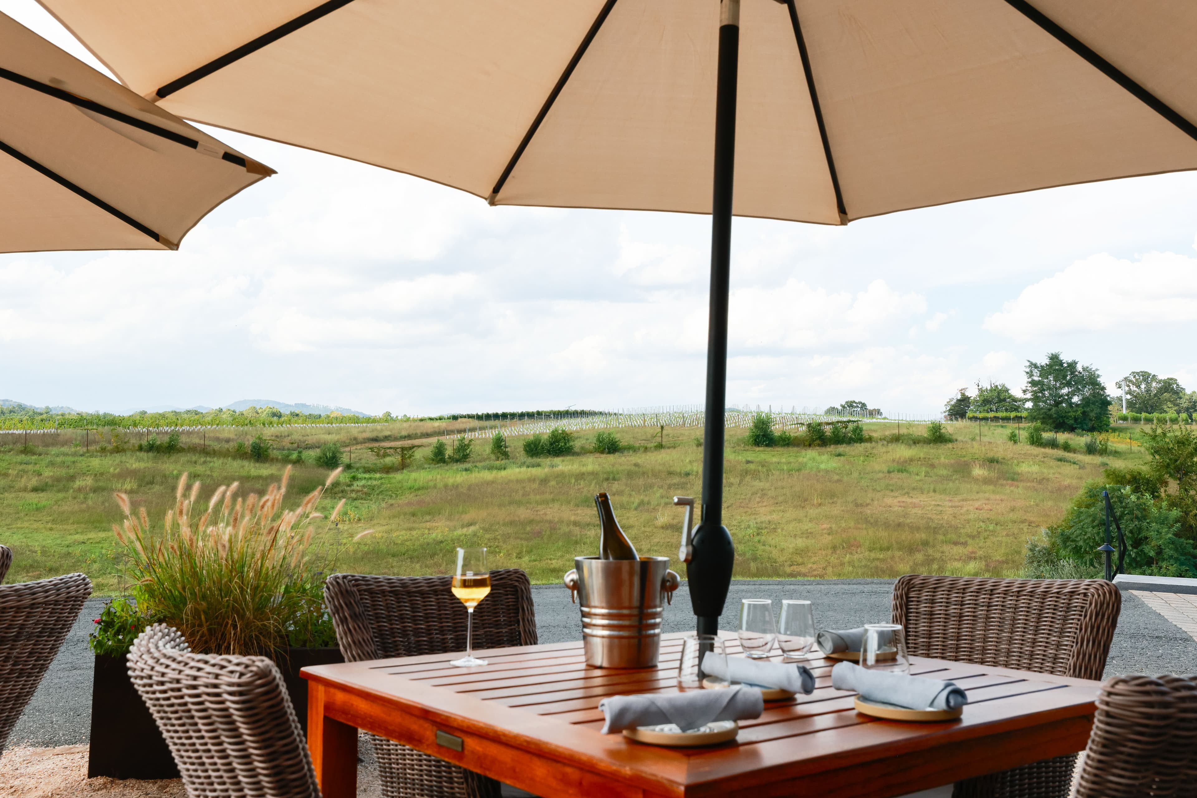 Mother's Day at Early Mountain